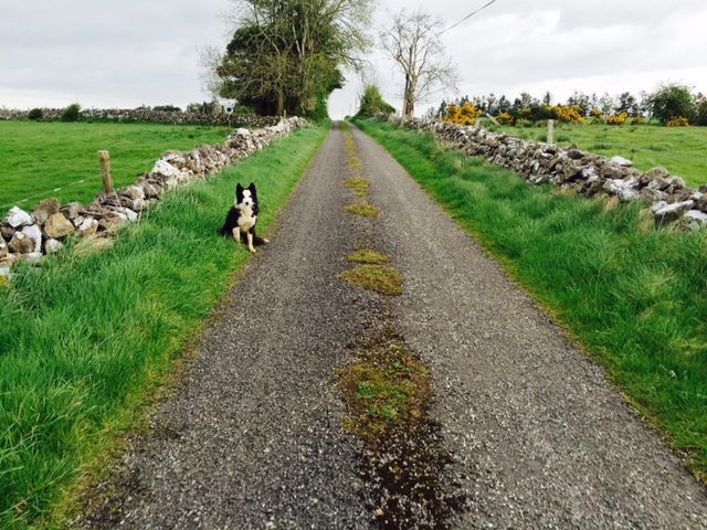 There's more wet and windy weather on the way - Met Eireann