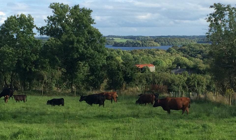 Roscommon couple build on organic farm brand