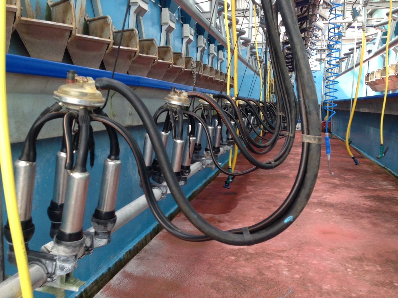 A significant milk price increase is 'increasingly unlikely anytime soon'