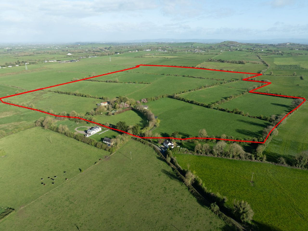 Number of farms sold last year rose by 8% - REA land survey