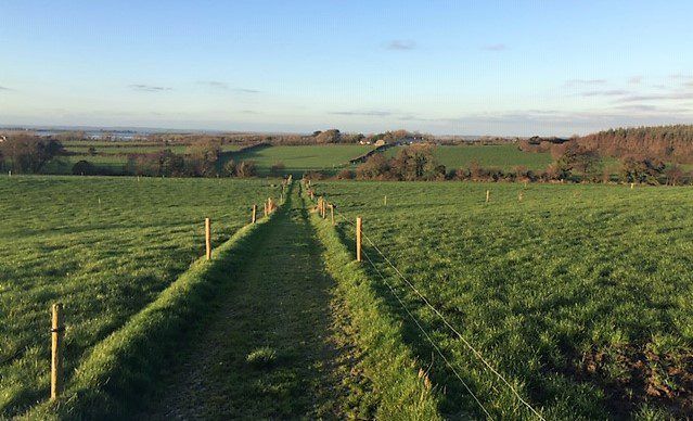 47ac residential farm offers commercial and agricultural potential