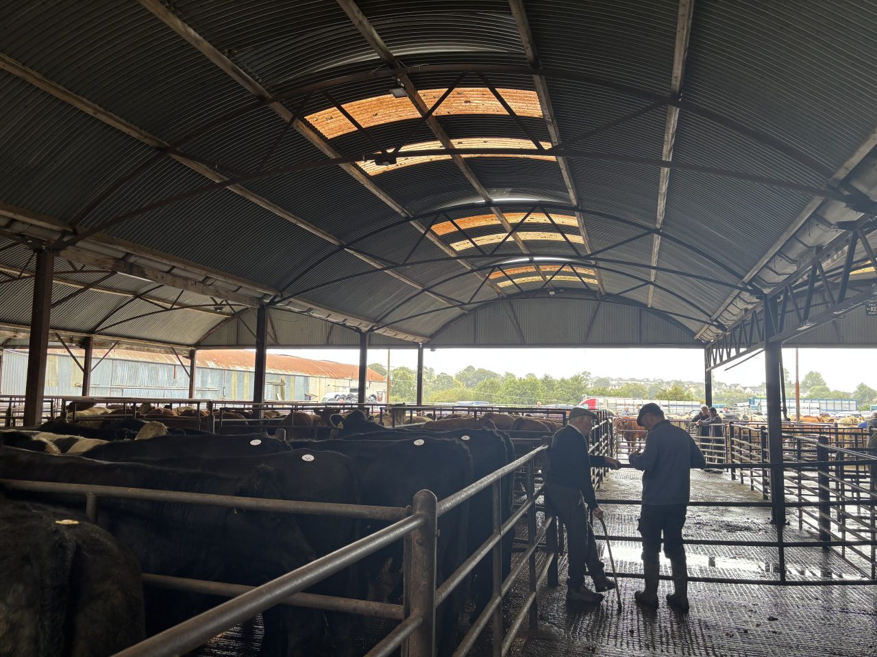 What was the mood at the mart on Mercosur?