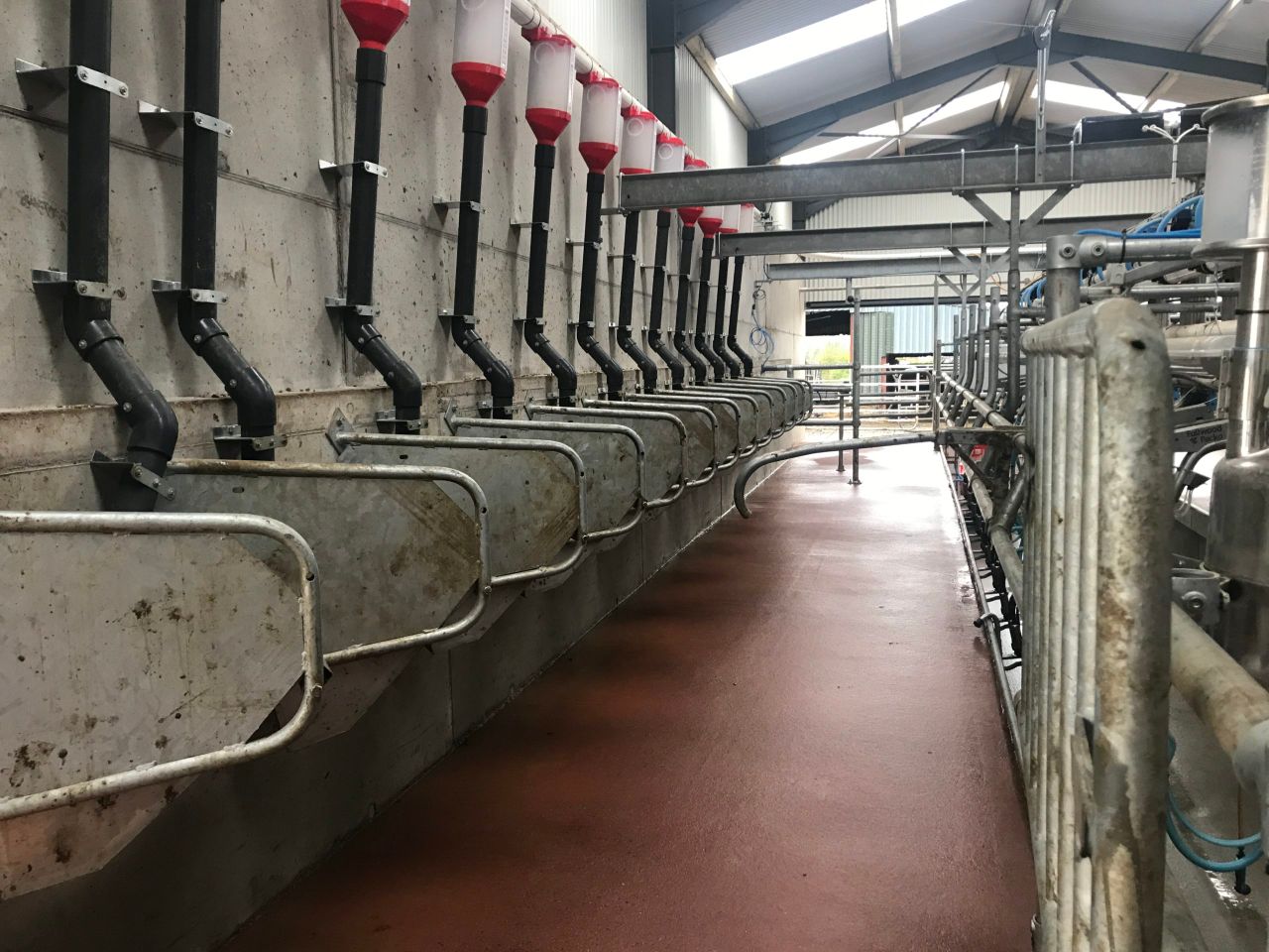 Dairy Focus: 'Dairying just suits family life better'