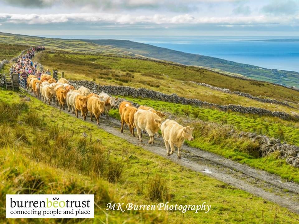 Burren Winterage hosts National Farming for Nature Award