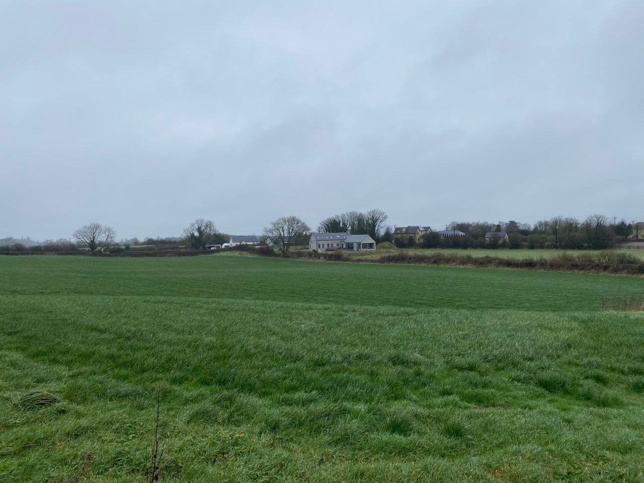 'Outstanding' Kildimo roadside holding for sale