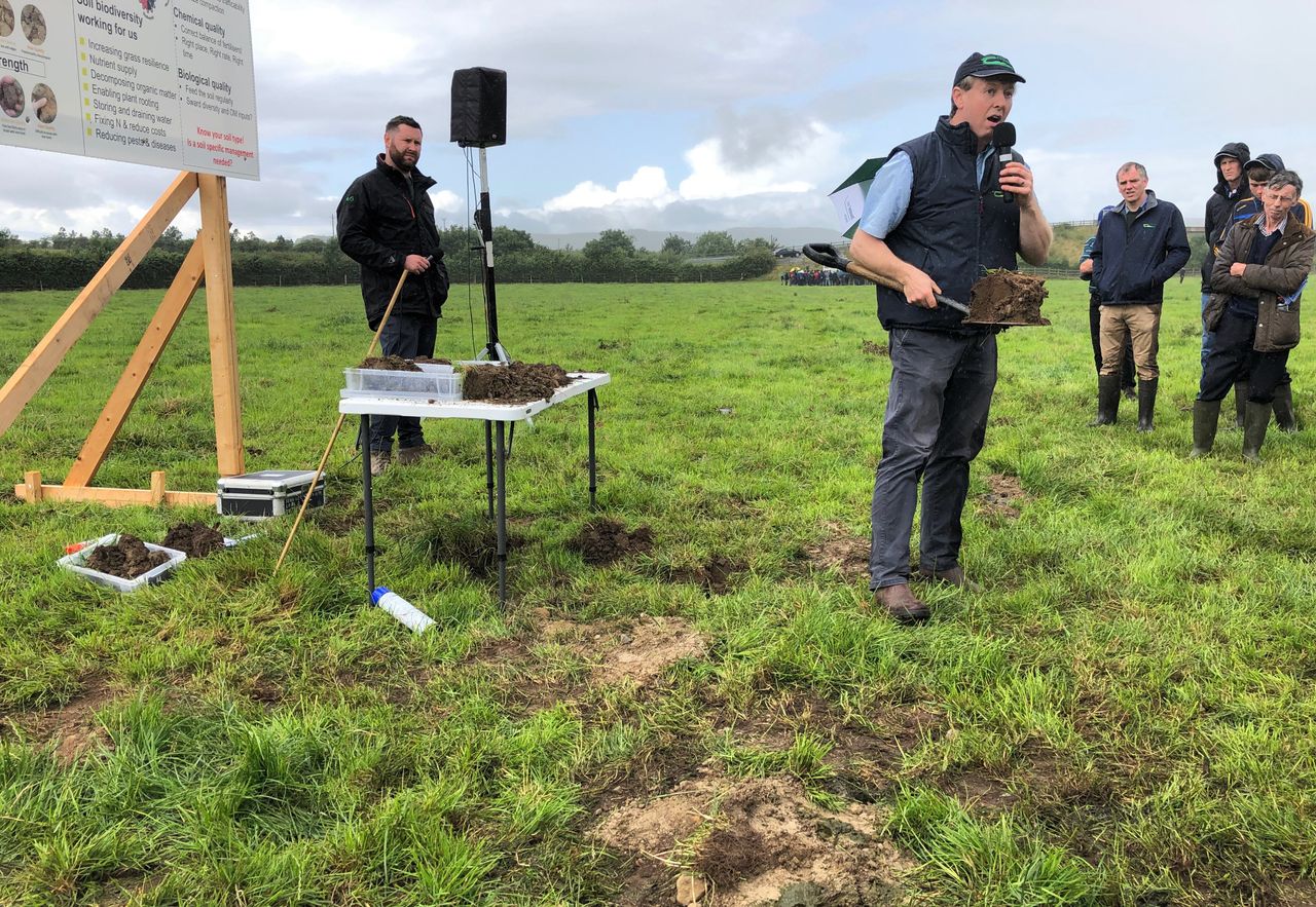 Grass production: Thinking below the ground...