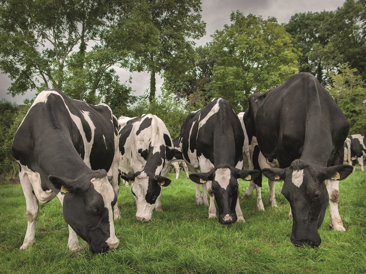Farmers in north invited on nutrient 'study tour' in Wexford