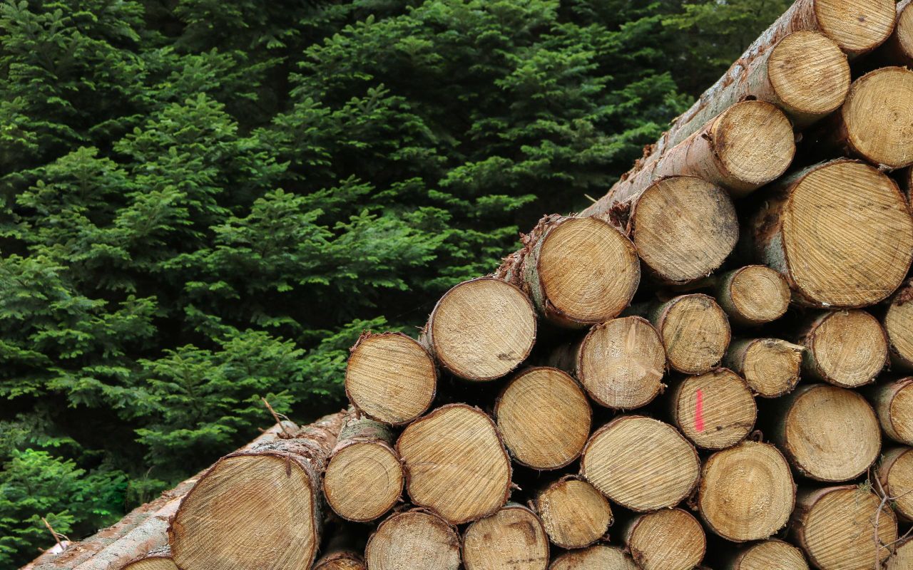 The benefits of wood fuels highlighted in new video