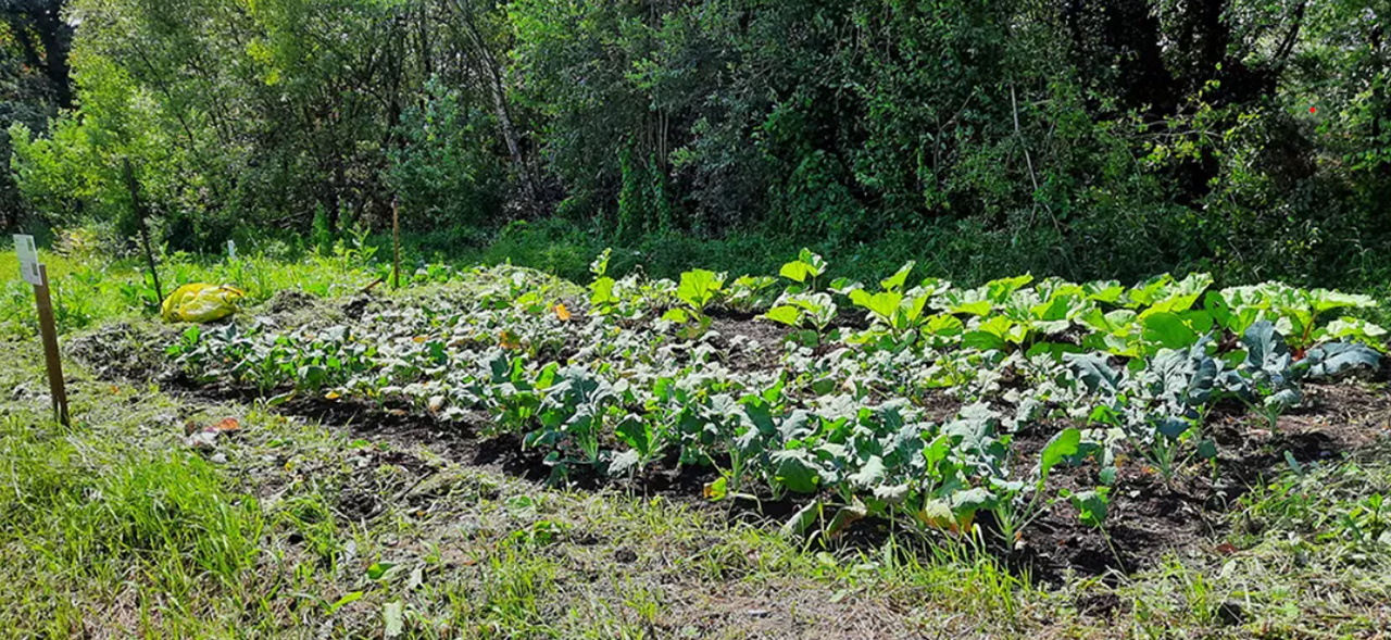 23 farmers receive payments for 'regenerating' farmed peatlands