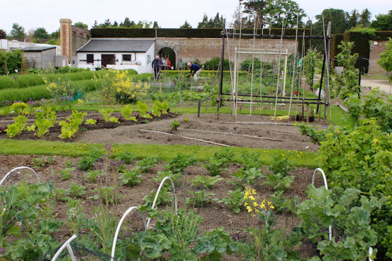 Festina Lente gets grant for horticulture study