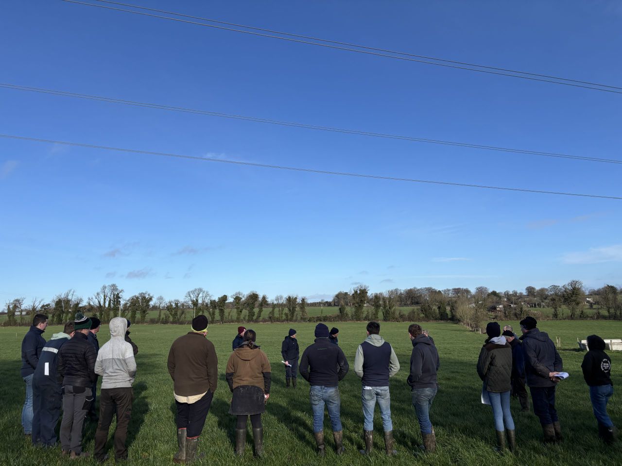 Dairy Focus: Prioritising grassland management this spring
