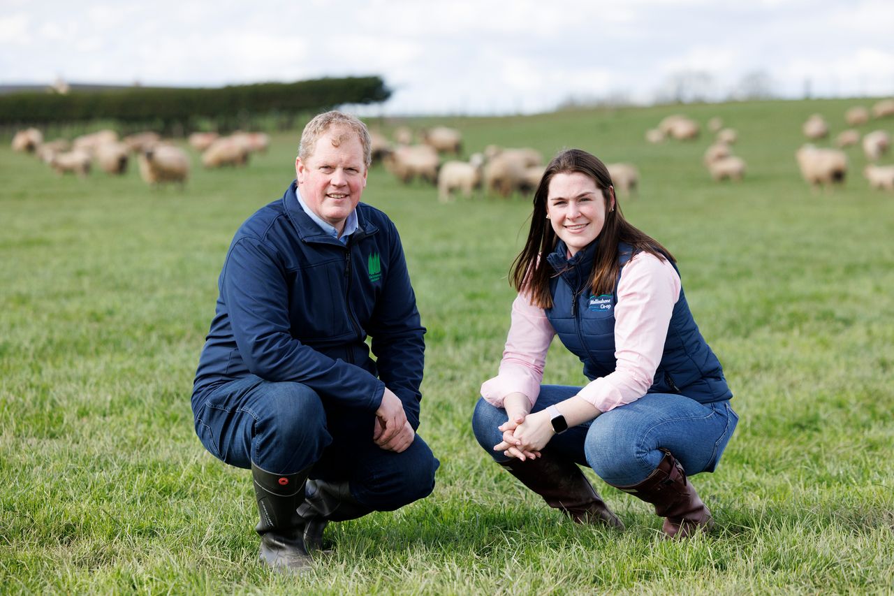 IGA sheep event set for Donegal farm next month
