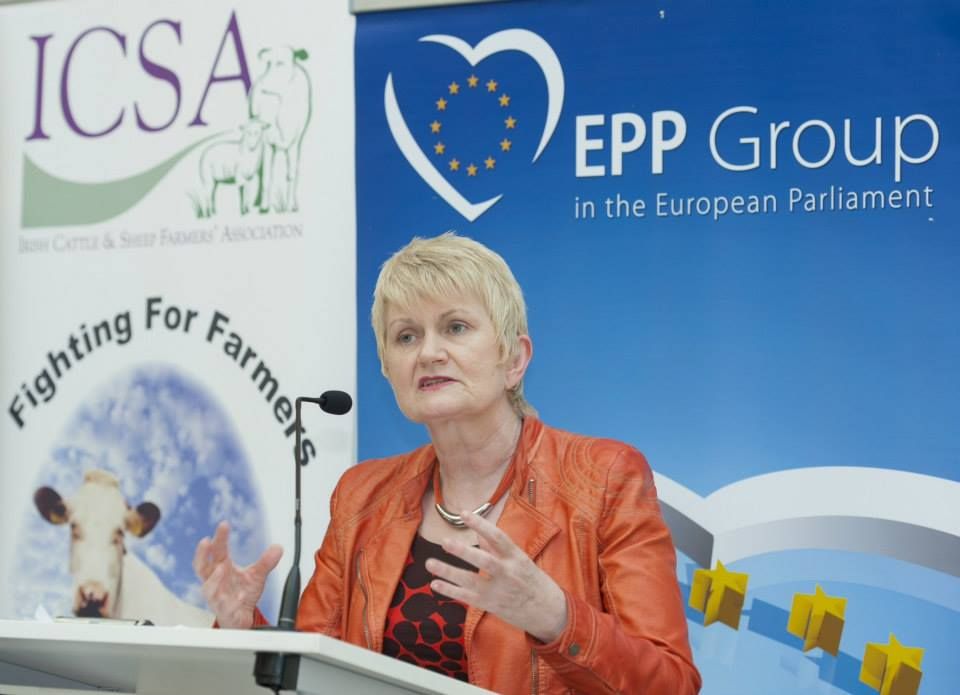 Harkin not to contest European elections