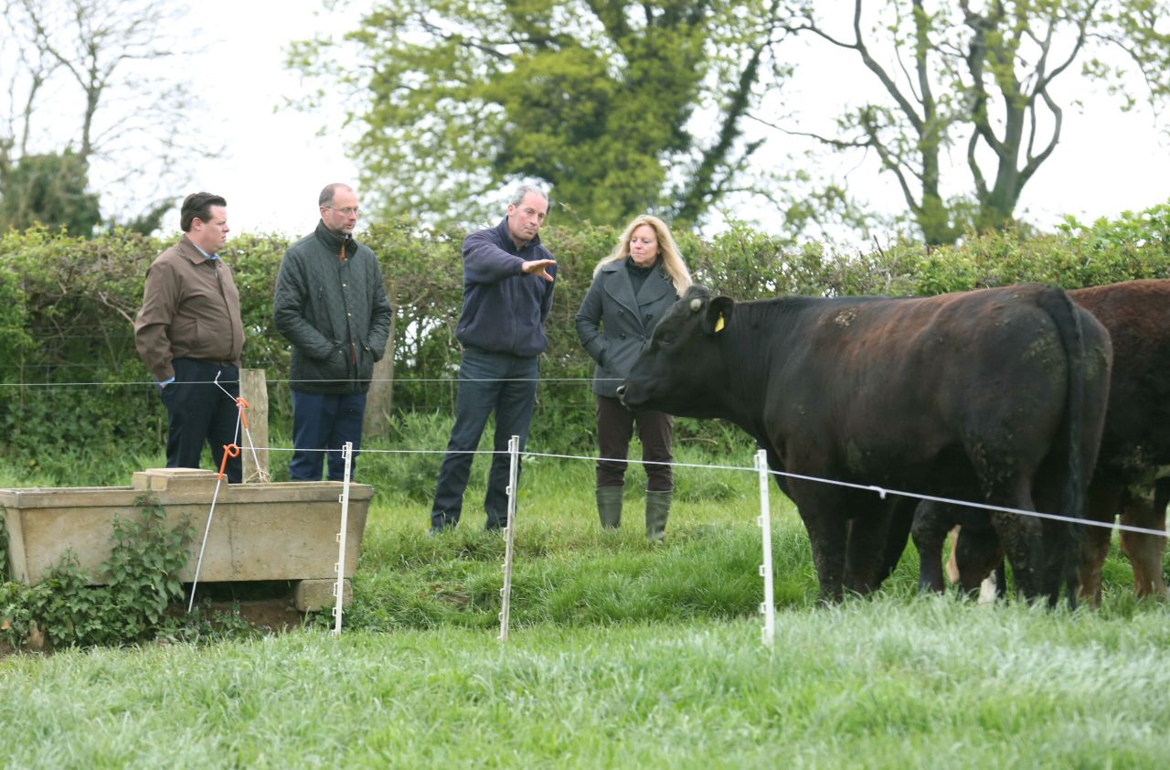 Irish beef is a hit with US distributors and food writers - Bord Bia