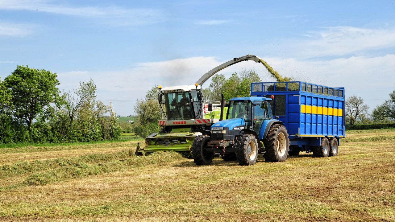 Less than 2 weeks to make Fodder Support Scheme changes