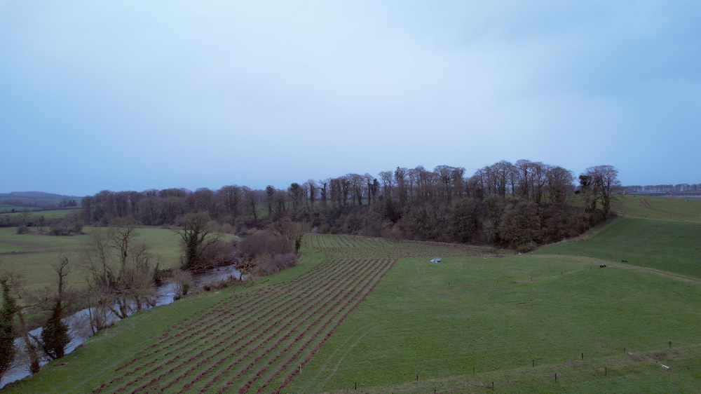 Minister Healy-Rae visits 'Woodland for Water' measure