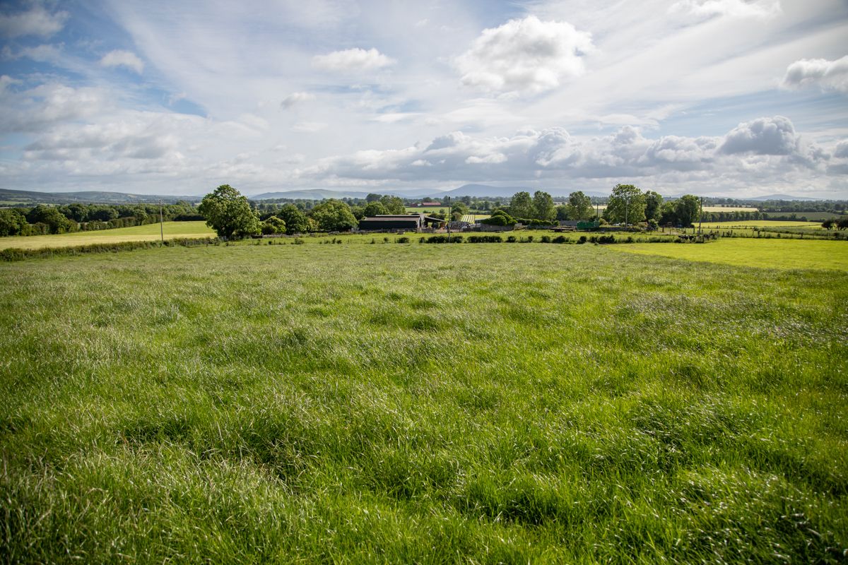 Pics: Achieving excellent results from spraying in Co. Kildare