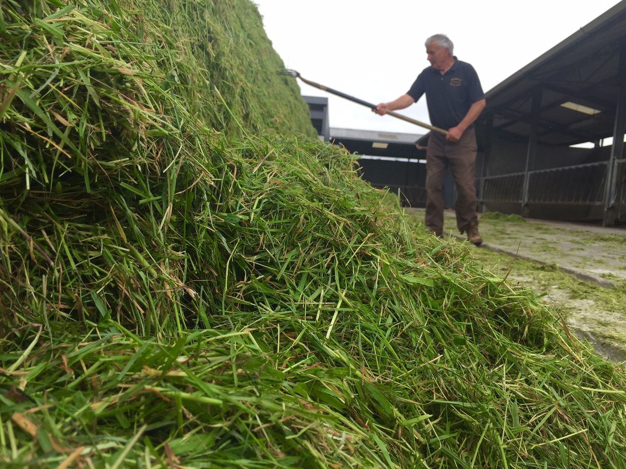 Employment in agriculture jumps by almost 4,000