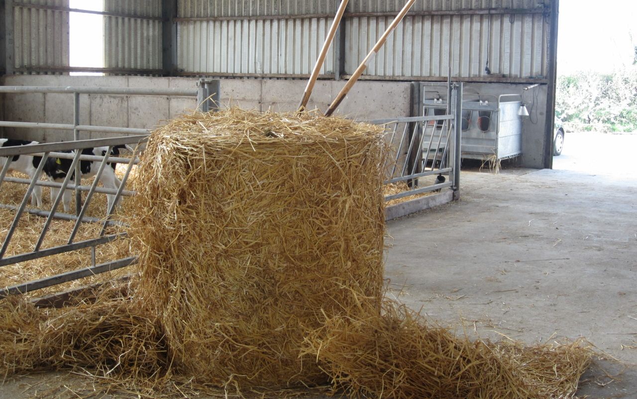 Straw prices edge closer to the €30/bale mark