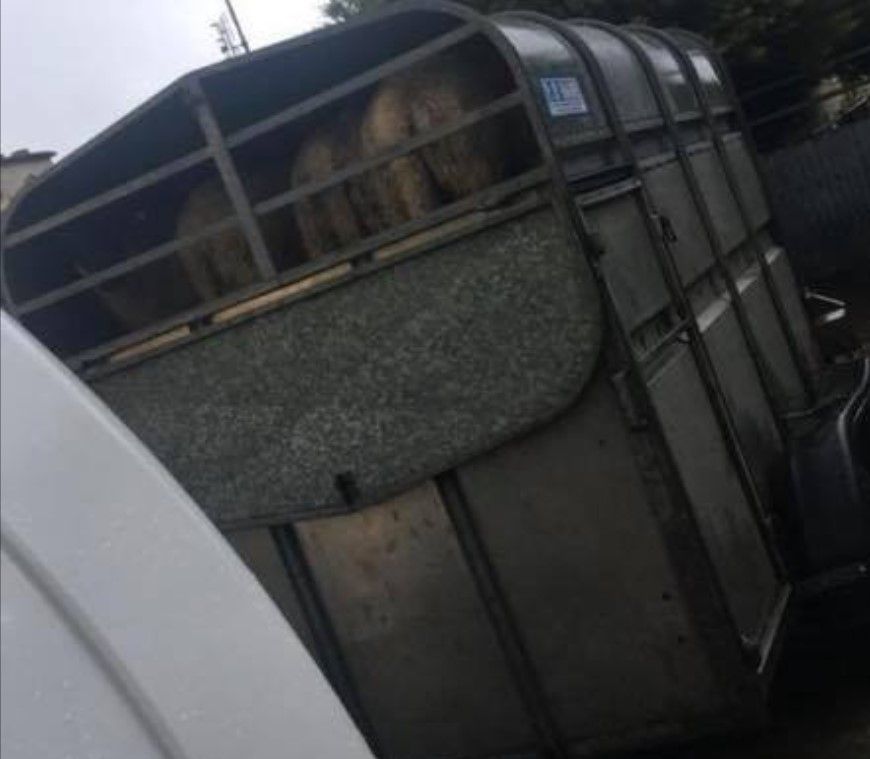 Info sought following theft of cattle trailer from yard