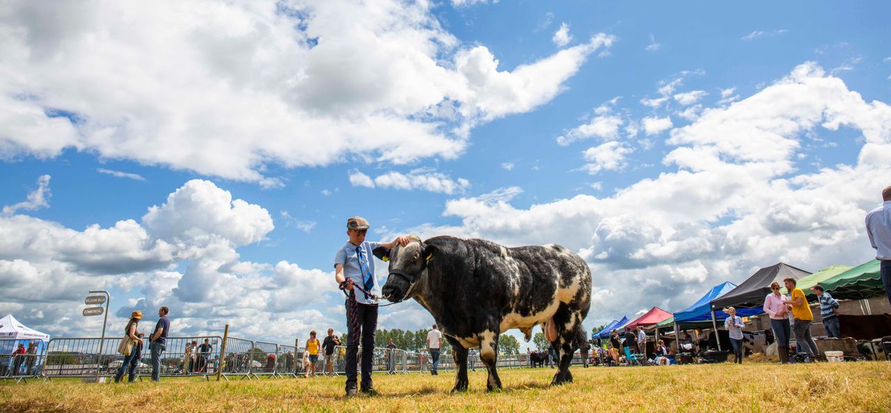 200-year tradition continues as Cork Summer Show goes virtual