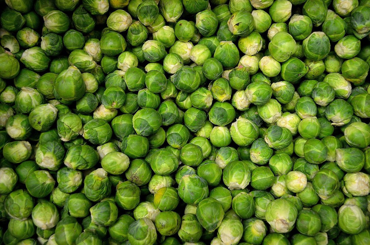 Increase in funding for Horticulture Scheme welcomed by IFA