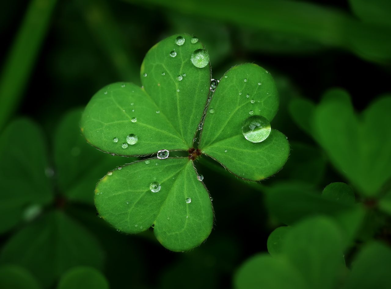 Met Éireann: Mixed conditions for St. Patrick's weekend