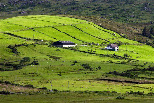 €25m increase to ANC given the 'go ahead' from Brussels