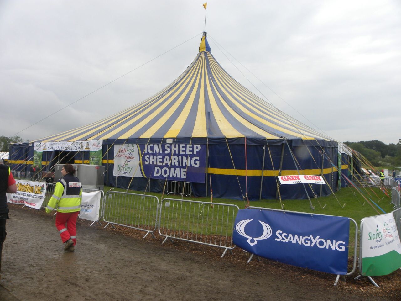 Sheep Shearing Championships update