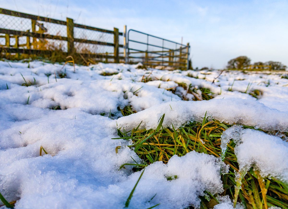 Status Orange snow and ice warning issued