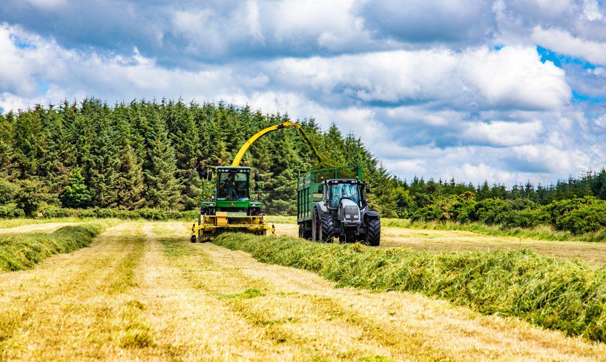 Fodder shortage: Supports needed for lowly-stocked farms to grow more silage