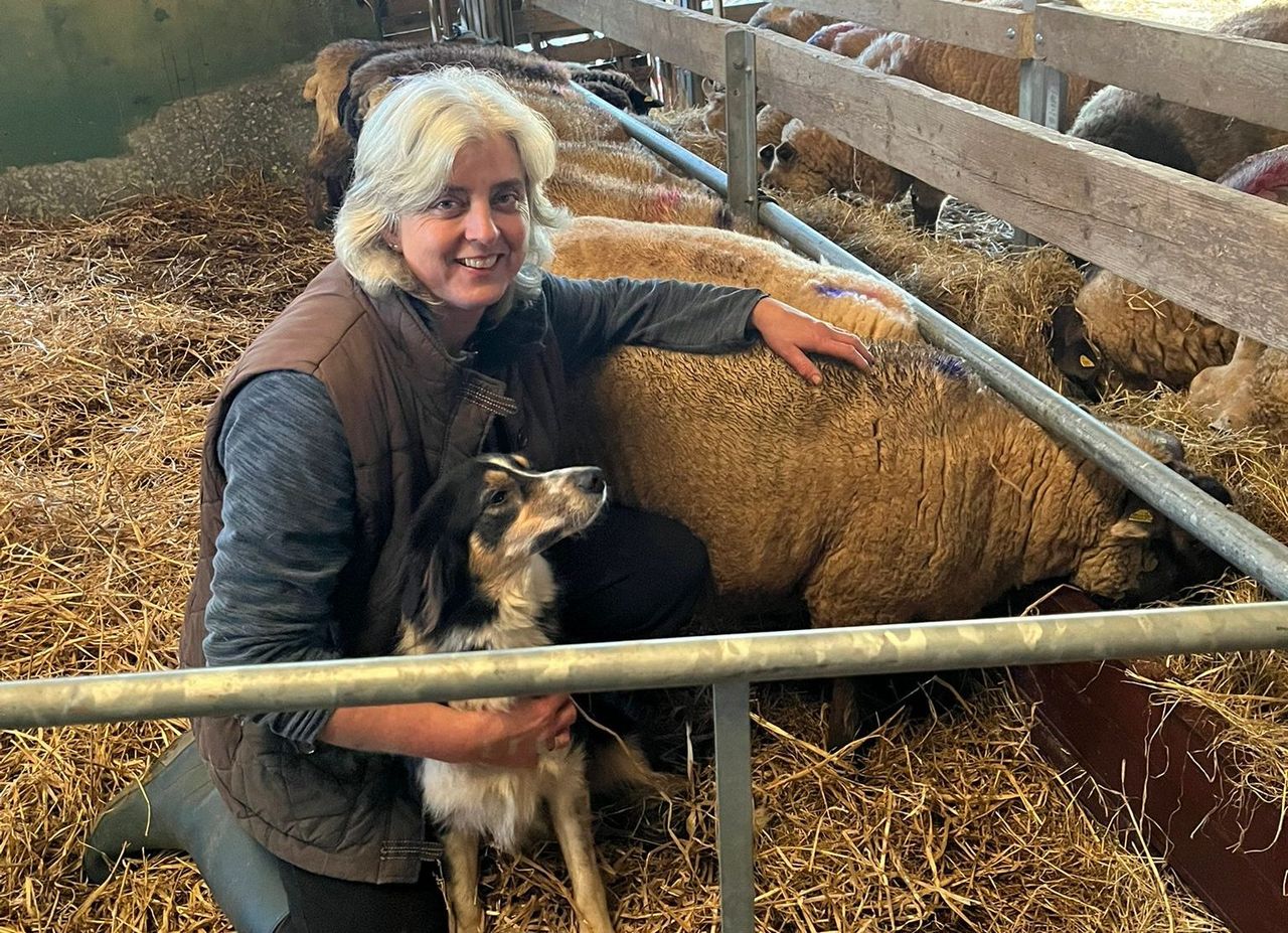Shauna the sheep brings joy to Kinsale Community Hospital