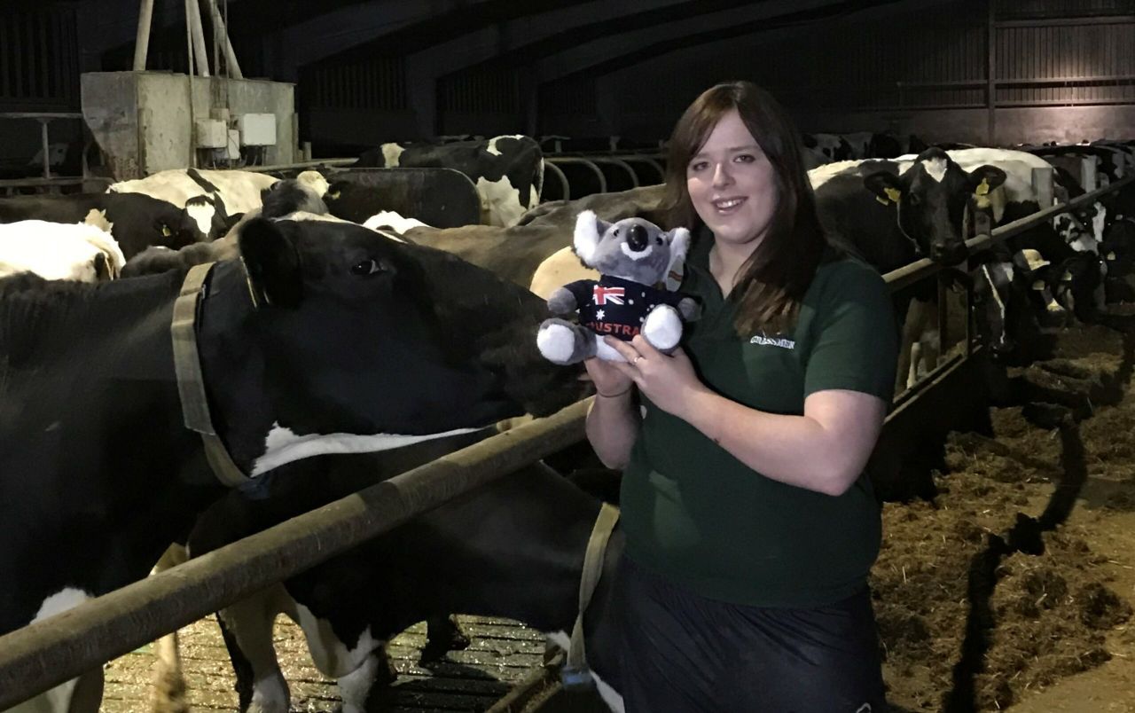 Co. Down dairy farmer wins Holstein Australia scholarship