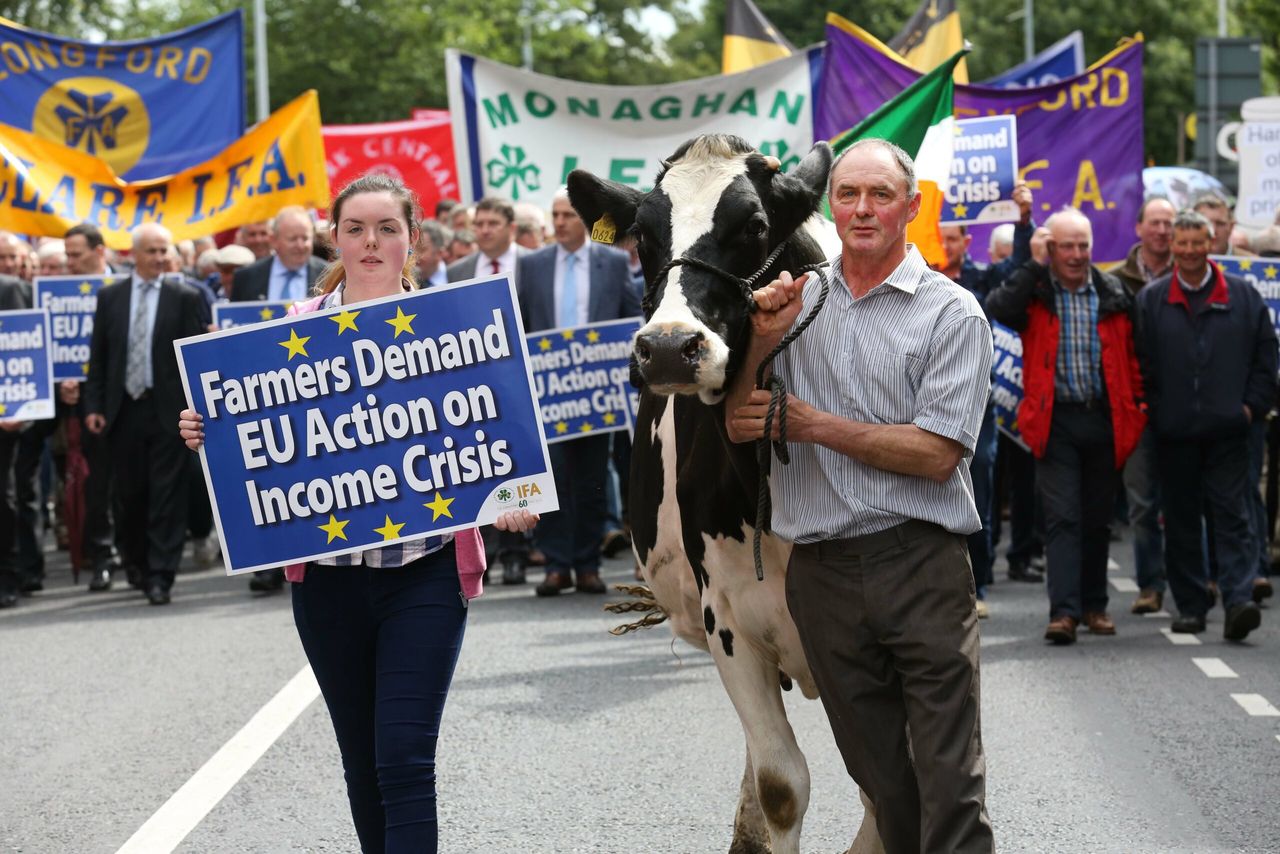 The future of IFA protests, according to the presidential candidates