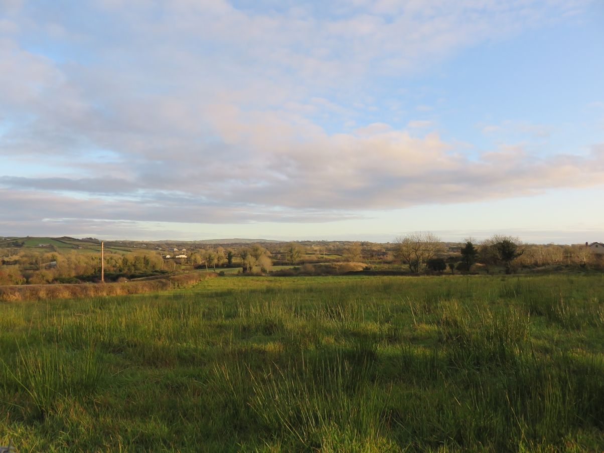 Residence, land and forestry up for grabs with entitlements - in Co. Monaghan