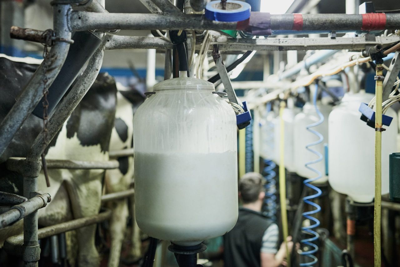 CSO: Domestic milk intake up 60m litres in year to August