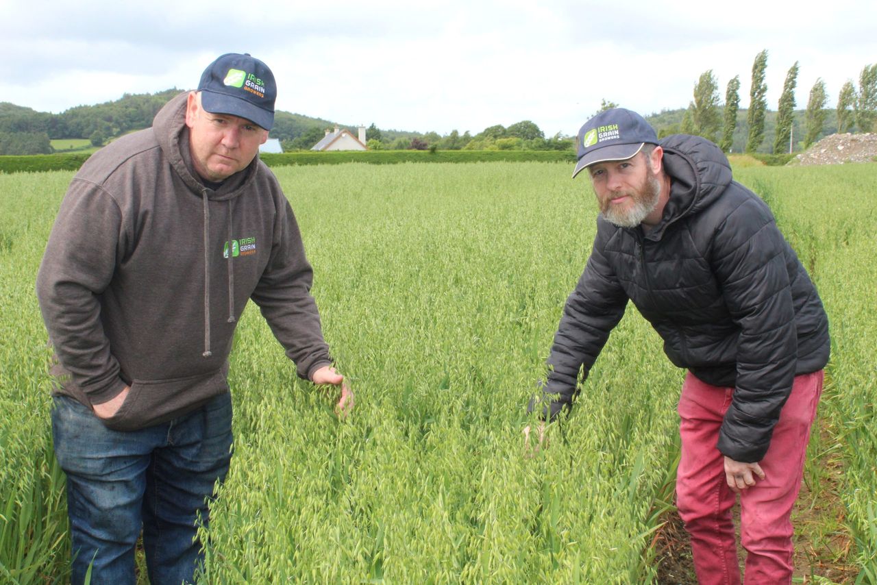 Talking crops' progress and the politics of tillage with IGGG