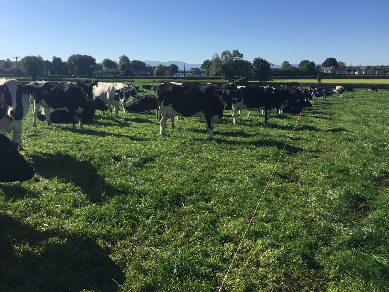 Striving to produce 100,000kg of milk solids in Co.Tipperary