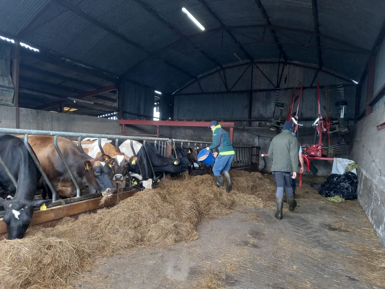 Five open days for Social Farming Ireland's Awareness Week