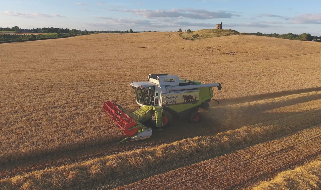 Opinion: The 2022 cereal harvest is just around the corner