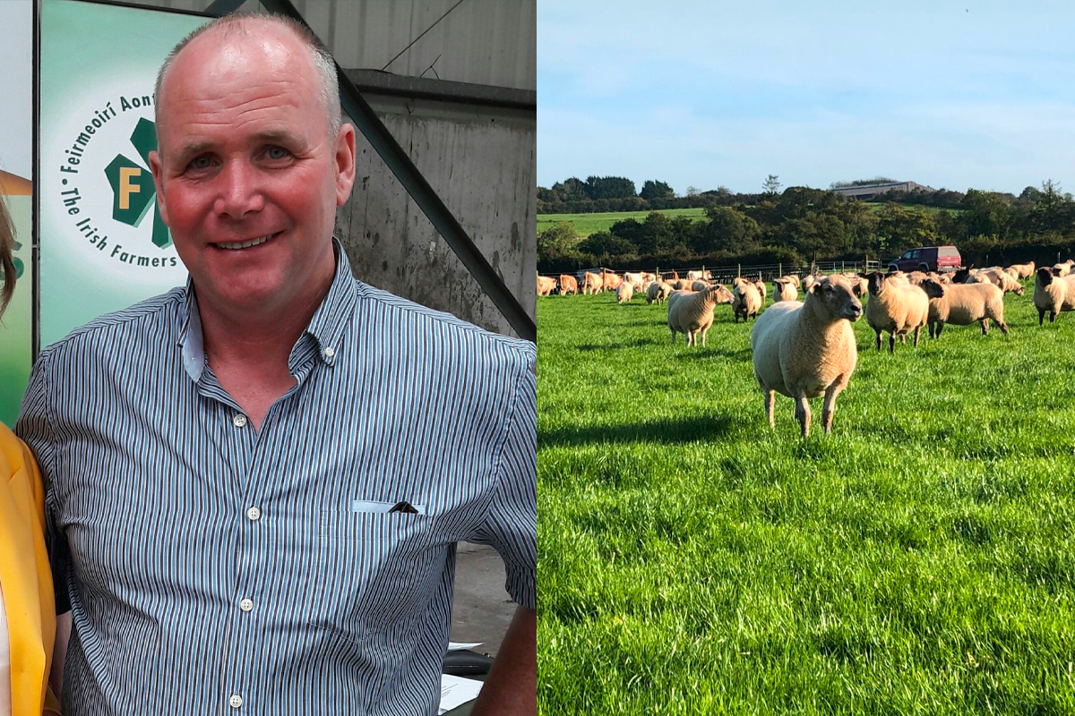 'No reason market conditions won’t remain strong for sheepmeat in 2022'