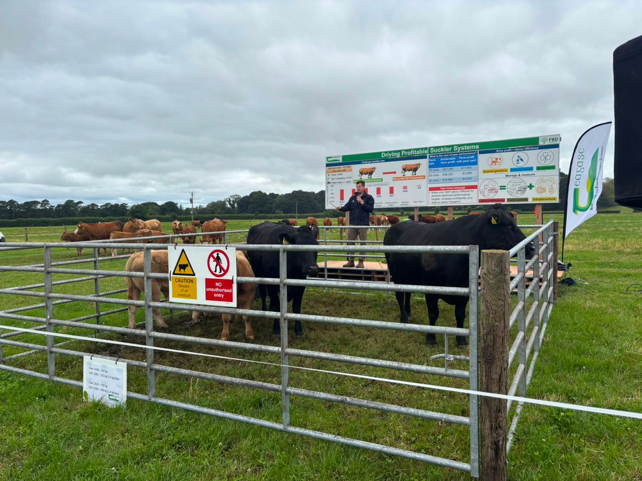 Discussing suckler beef production at BEEF2026 at Teagasc Grange, Co. Meath