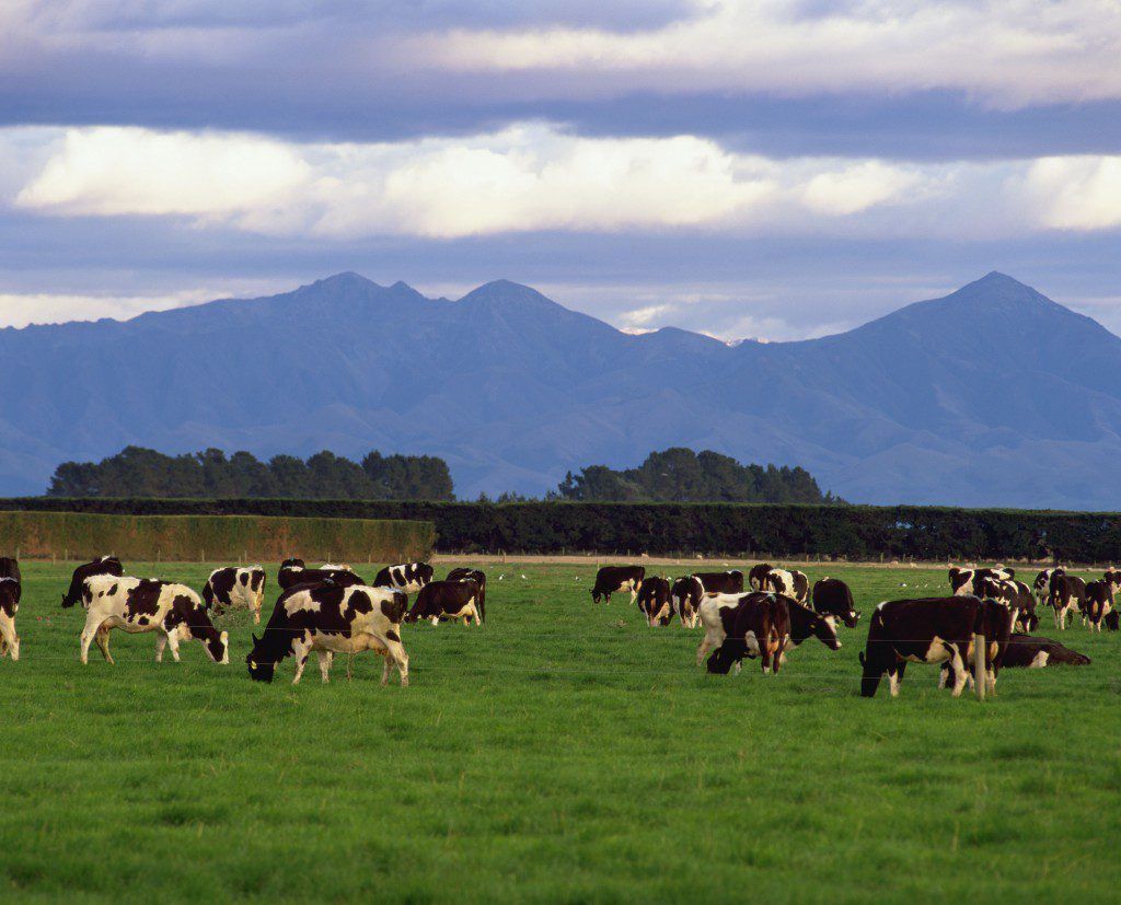 Fonterra sees huge interest in interest-free loans