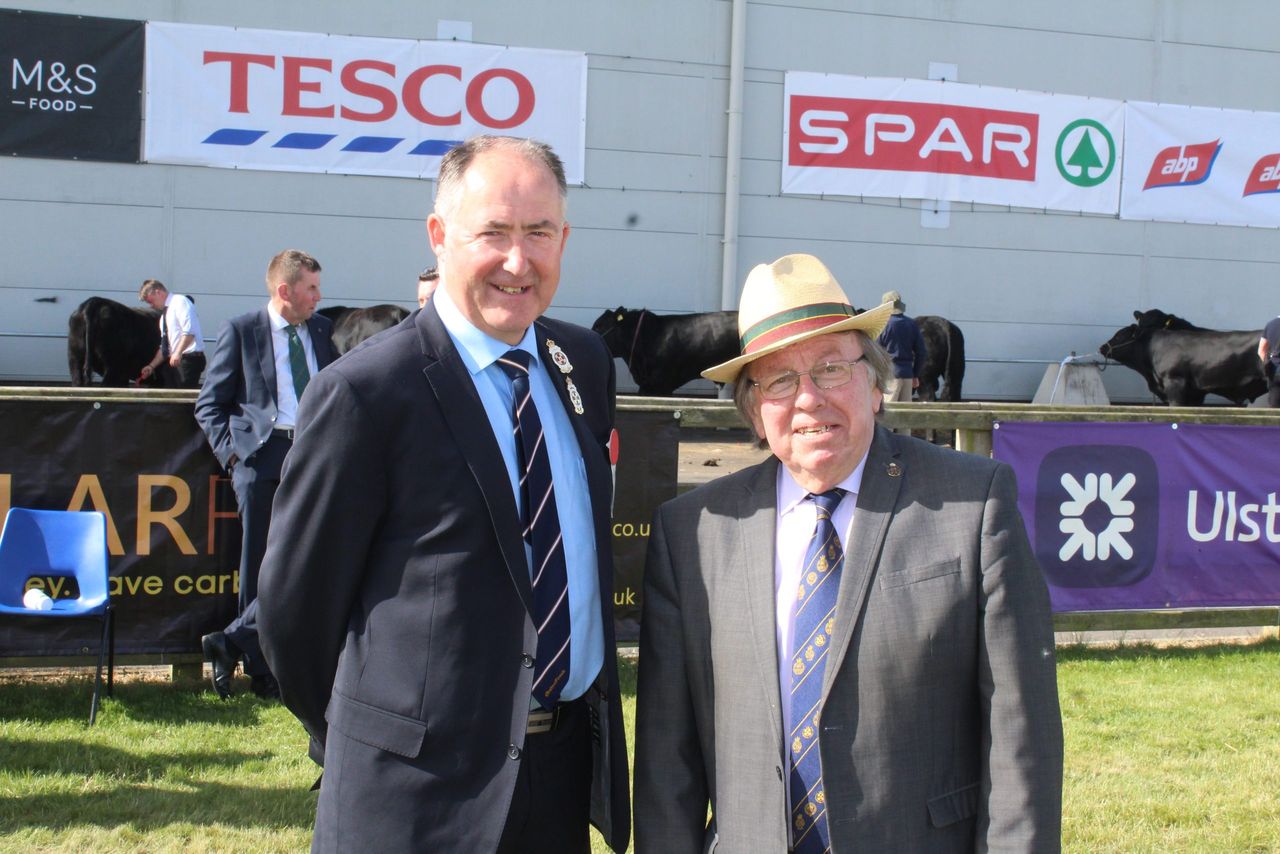 Balmoral 2025: Lively competition expected in the cattle rings