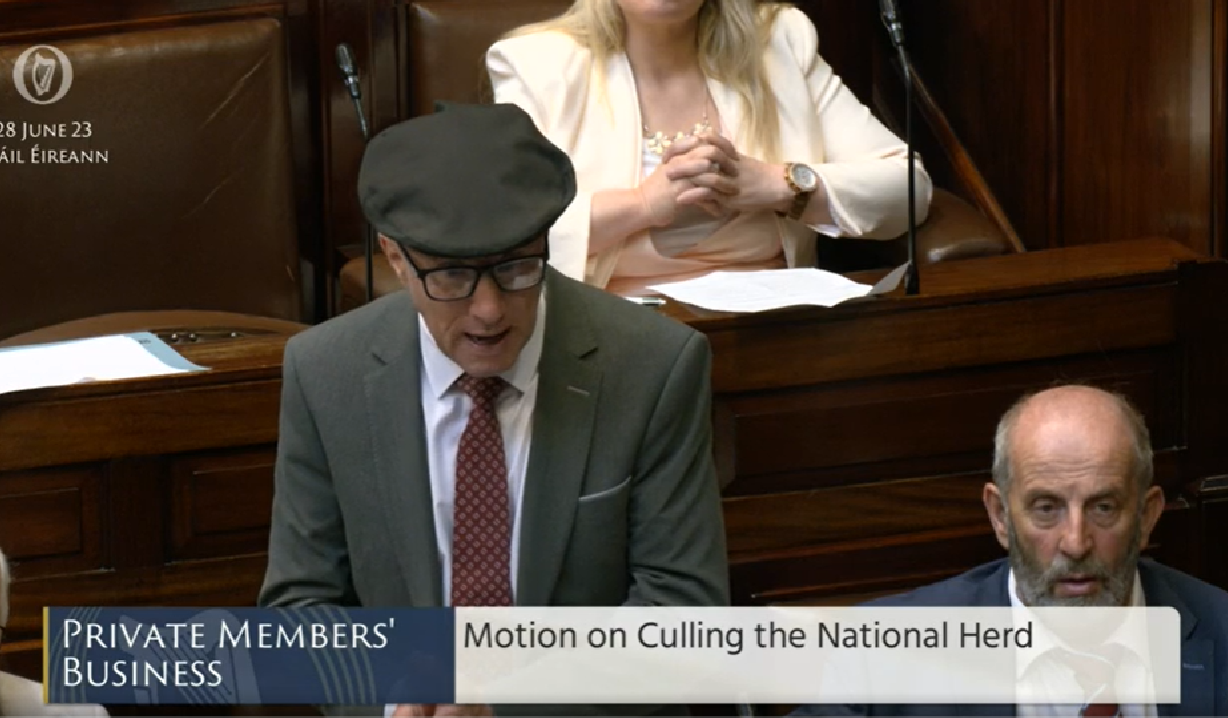 Healy-Rae: Ireland is 'better at farming than anyone else'