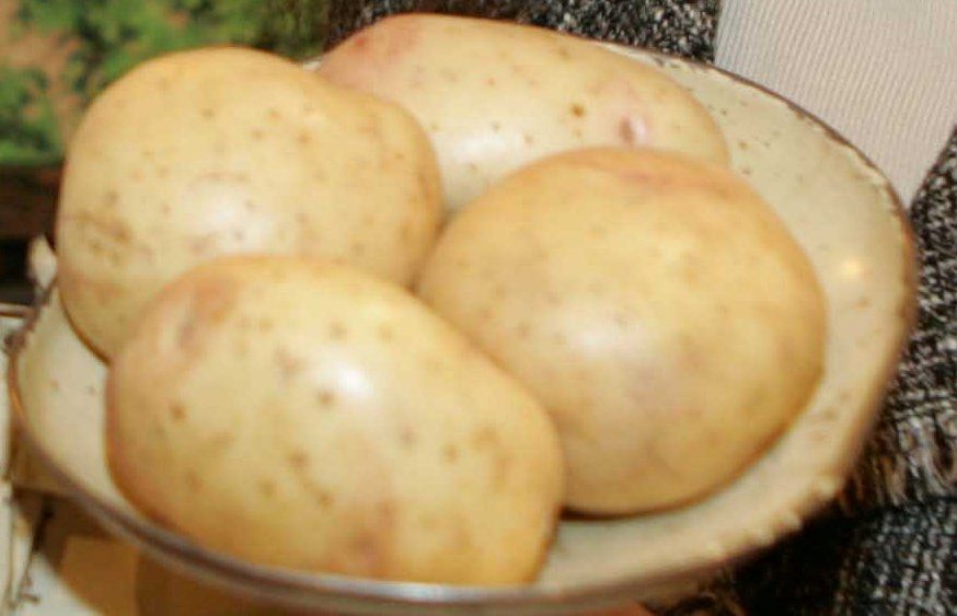Retailers urged to support potato sector and avoid food waste