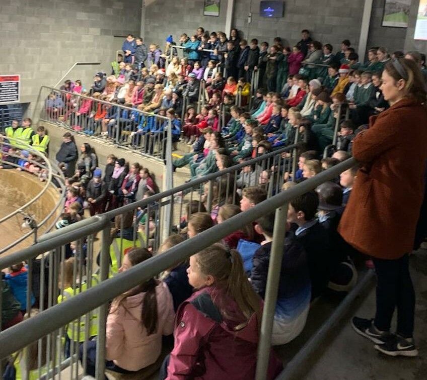 700 kids attend farm safety day at Carnew Mart
