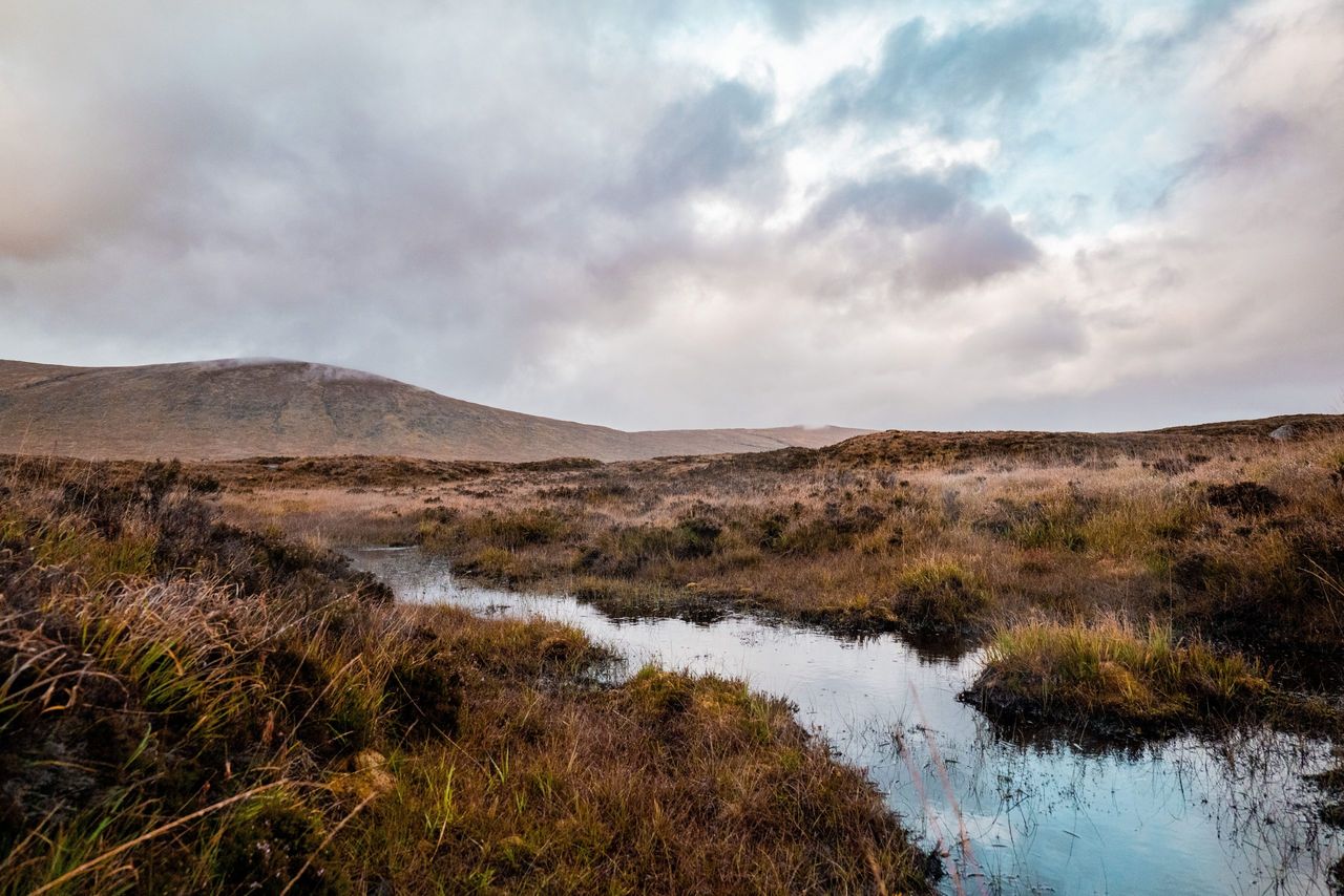 73% want to pass knowledge of wetlands on to future generations - survey