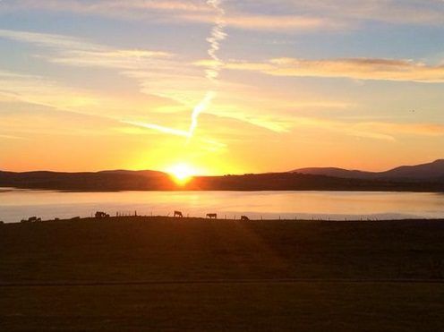 Pics: The crisp, cool autumn weather has arrived on Irish farms