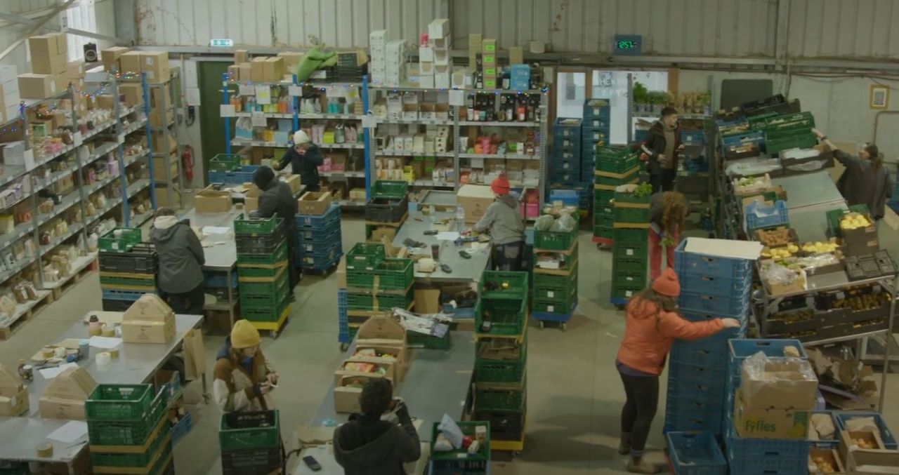 Watch: Galway organic veg farm delivers to doors nationwide